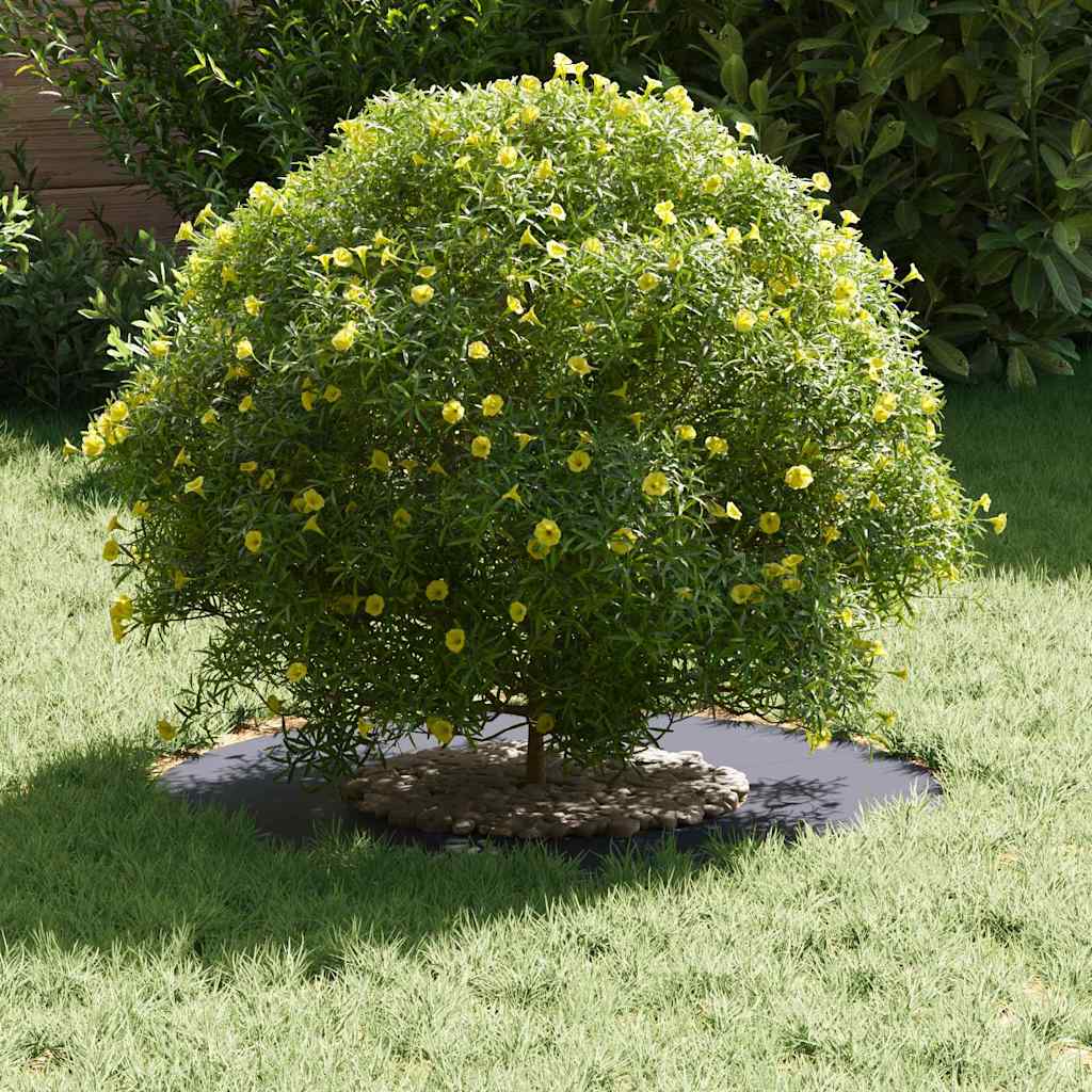 Flache Baumringe 5 pcs Anthrazit Ø30 / 60 cm Stahl